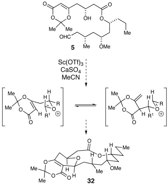 Scheme 8