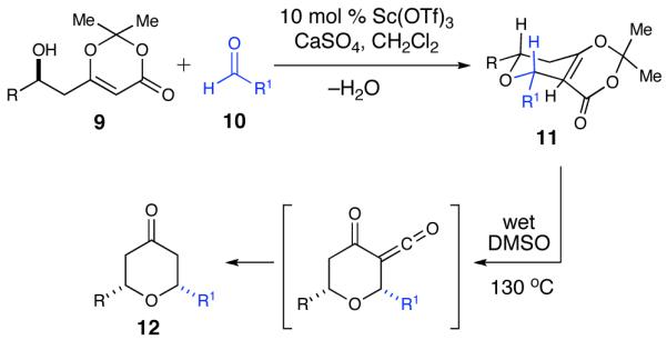 Scheme 2