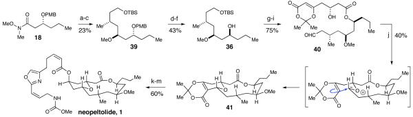 Scheme 11