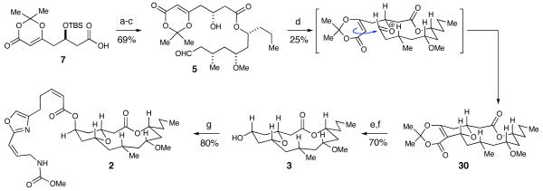 Scheme 7