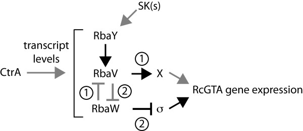 Figure 8