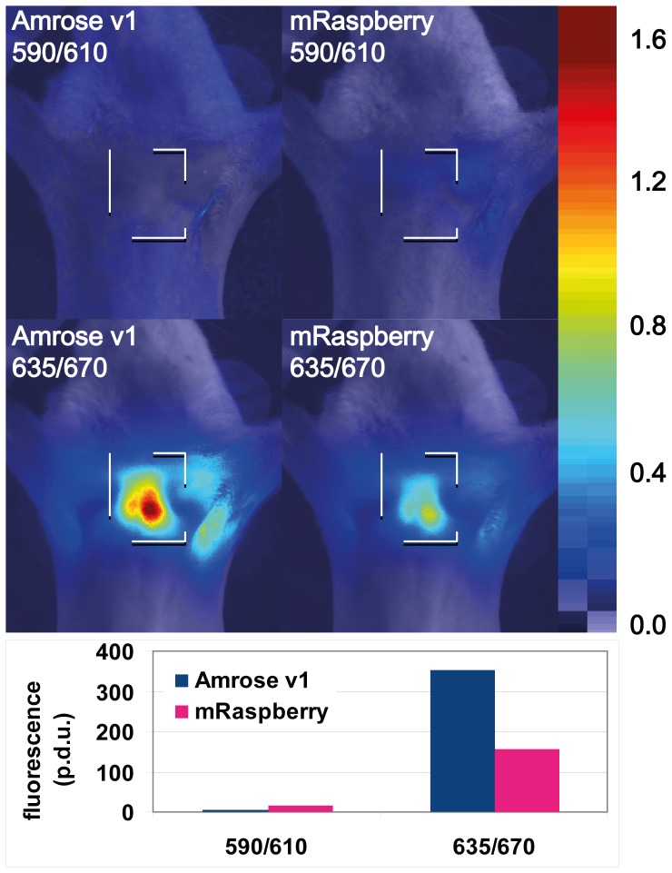 Figure 6