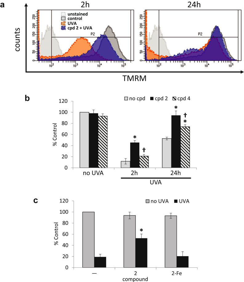 Figure 4