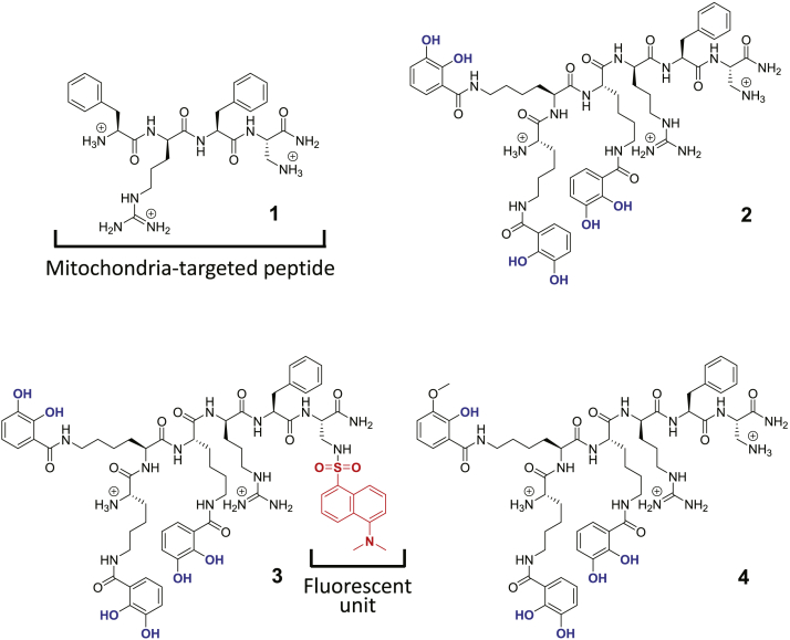 Figure 1