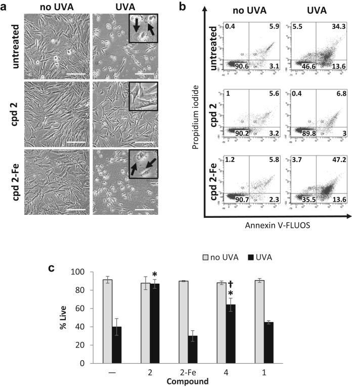 Figure 3