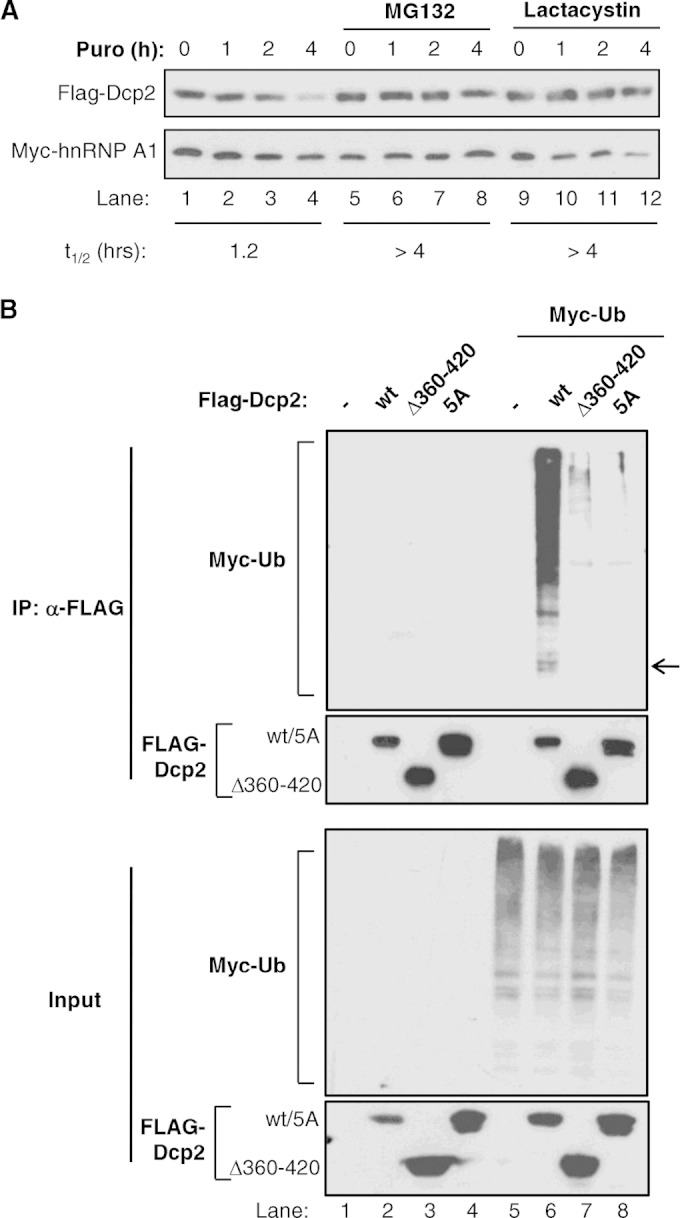 FIG 6