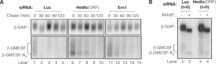 FIG 1