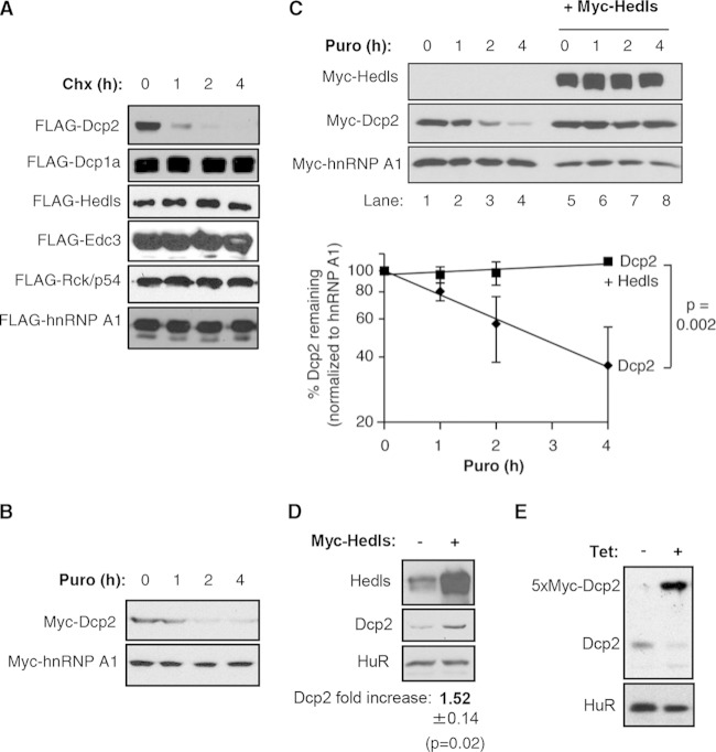 FIG 3