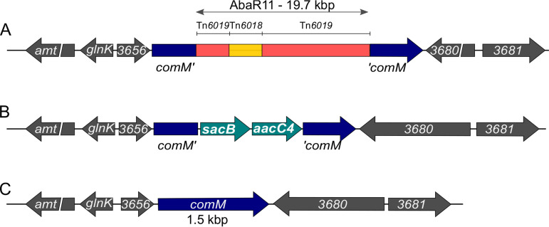 FIG 2