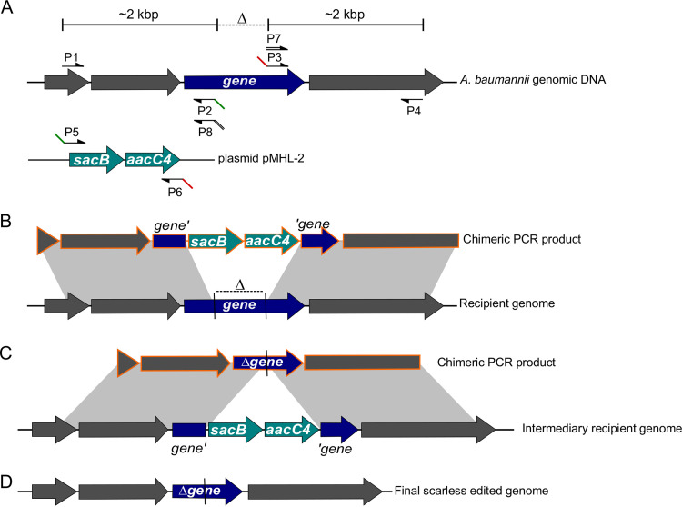 FIG 1