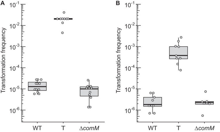 FIG 3