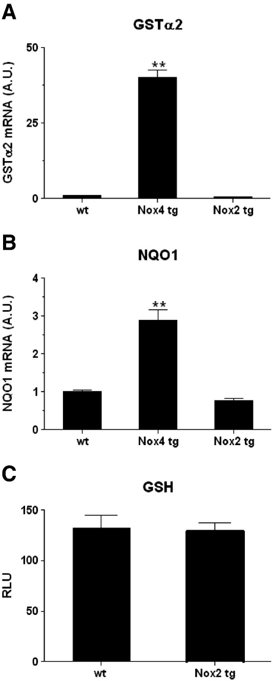 Fig. 6