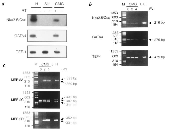 Figure 9