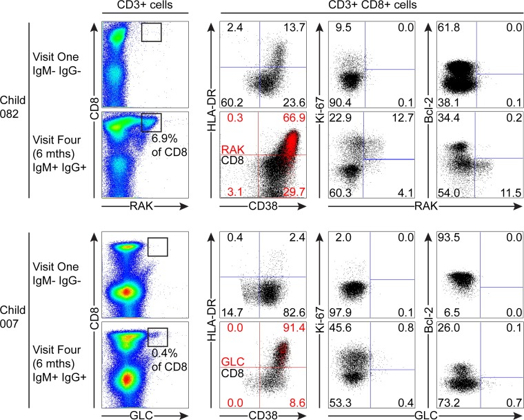 Fig 6