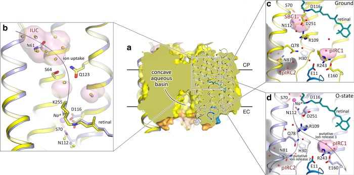 Fig. 3