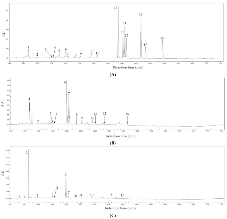 Figure 11