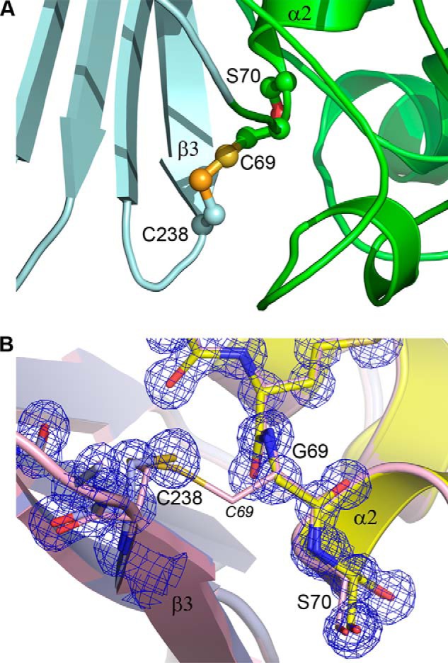 FIGURE 3.