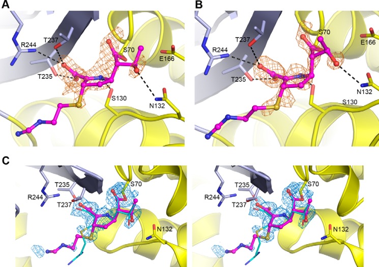 FIGURE 4.