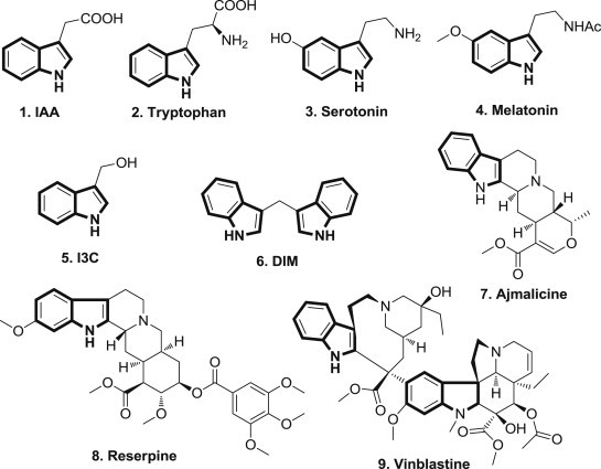 Fig. 1