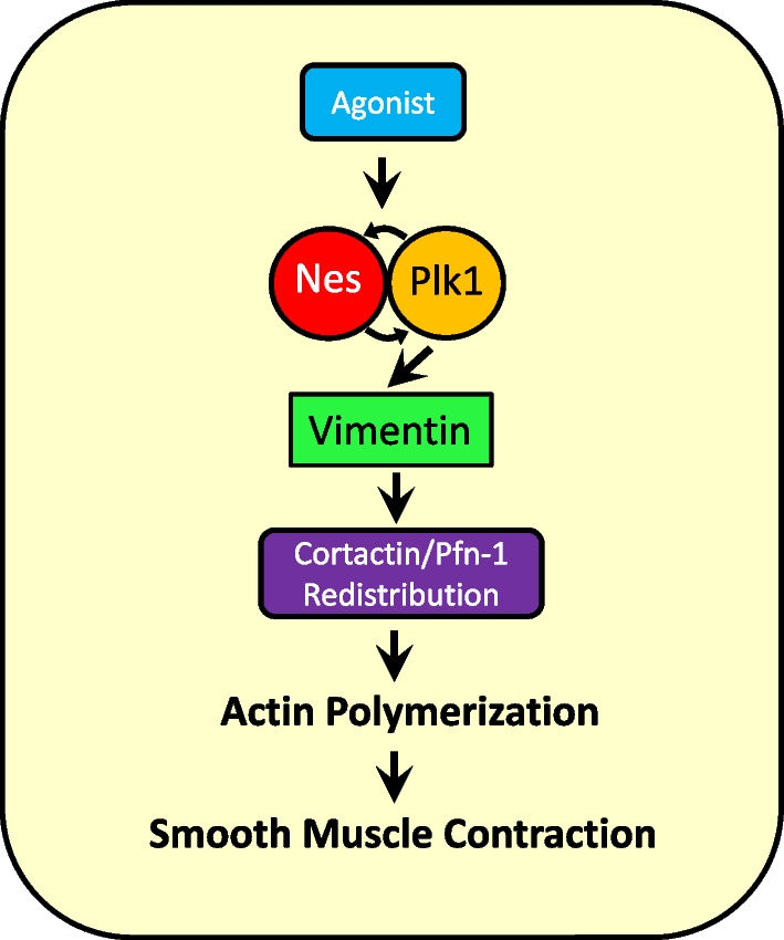 Fig. 8