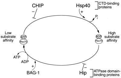 FIG. 10