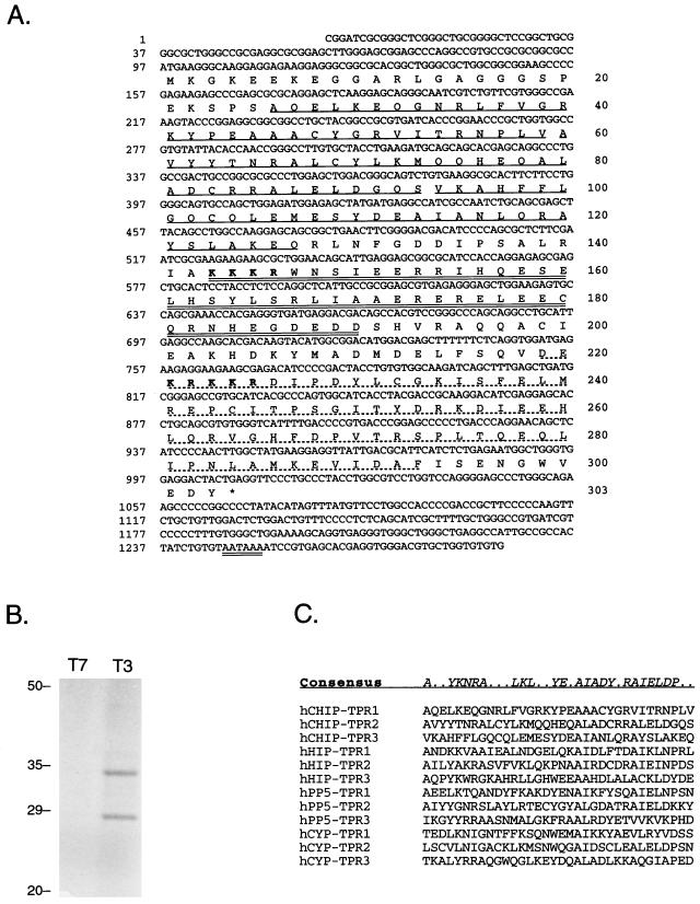 FIG. 1