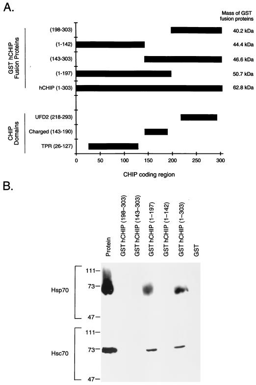 FIG. 7