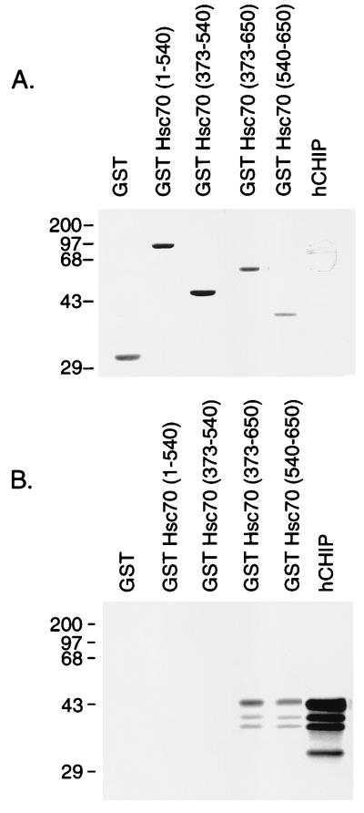 FIG. 6