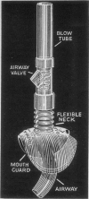 246