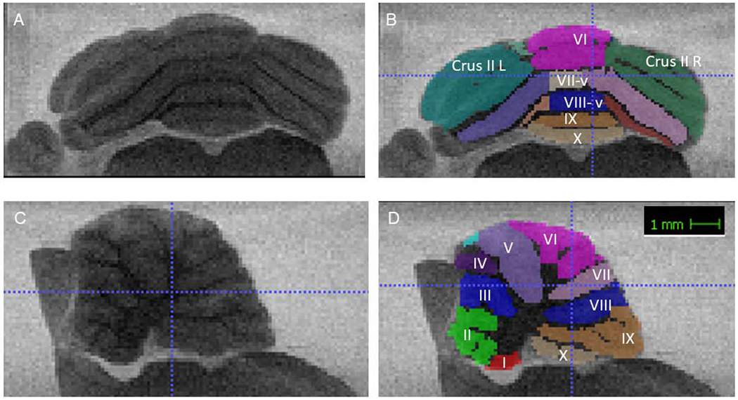 Figure 1: