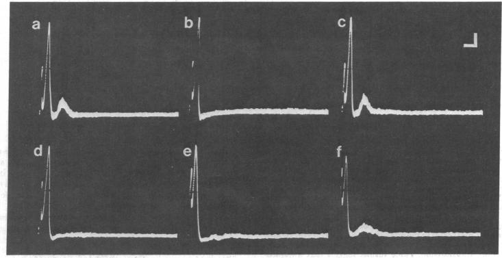 graphic file with name pnas00018-0466-a.jpg