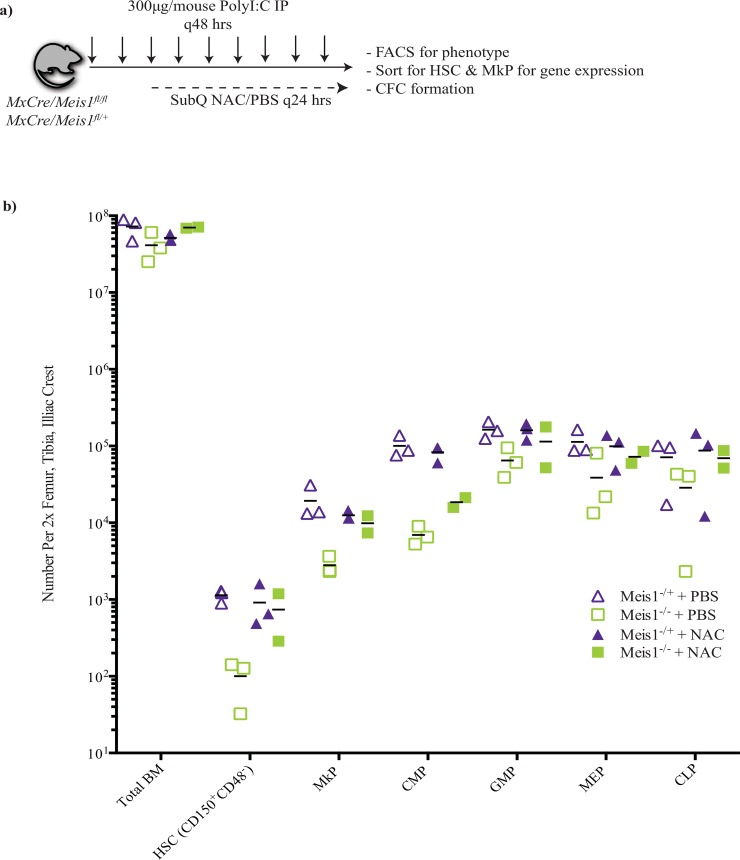 Fig 13