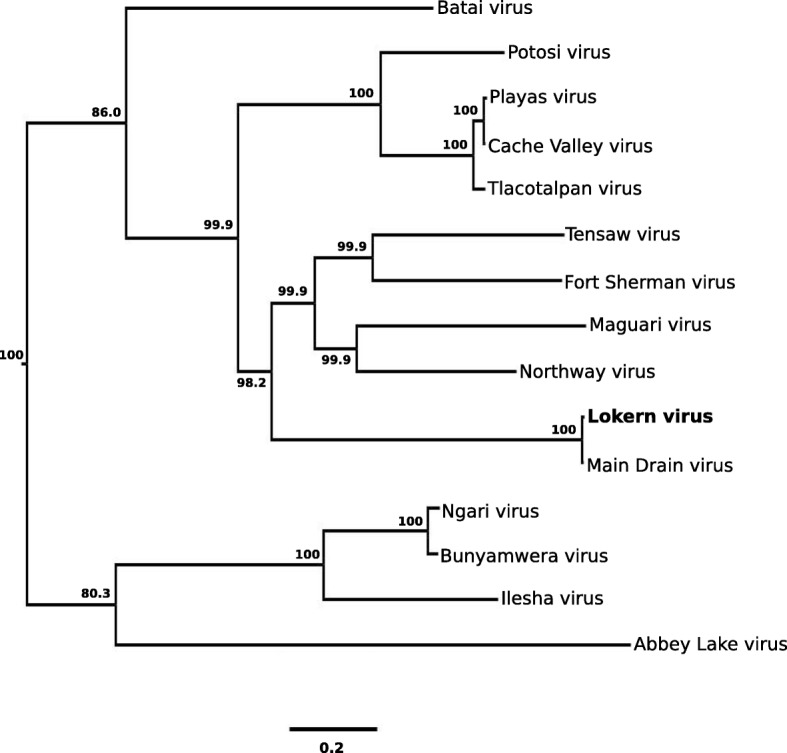 Fig. 4