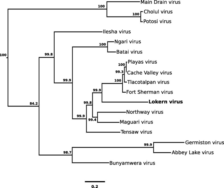 Fig. 3