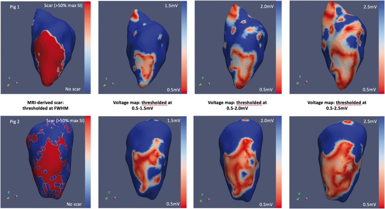 Figure 6