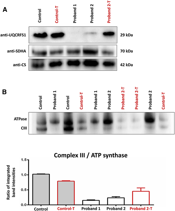 Figure 3