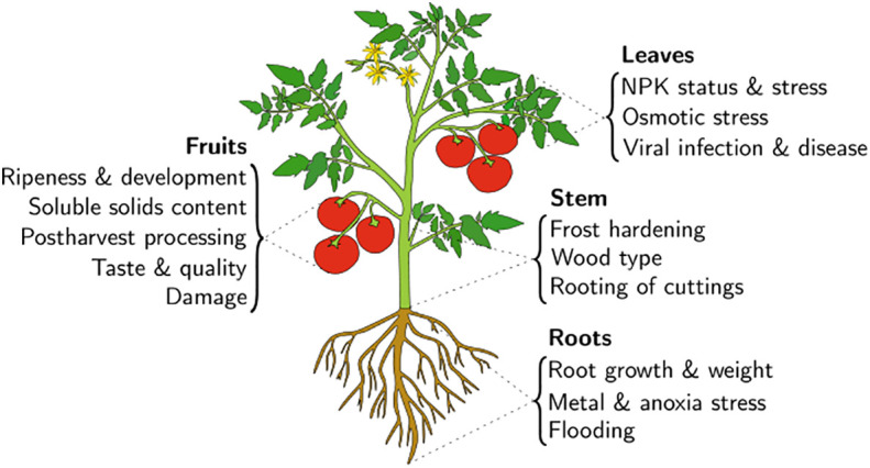 Figure 1