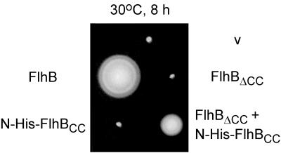 FIG. 7