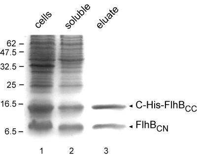 FIG. 4