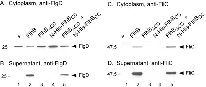 FIG. 8