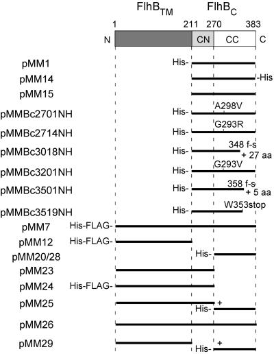 FIG. 1