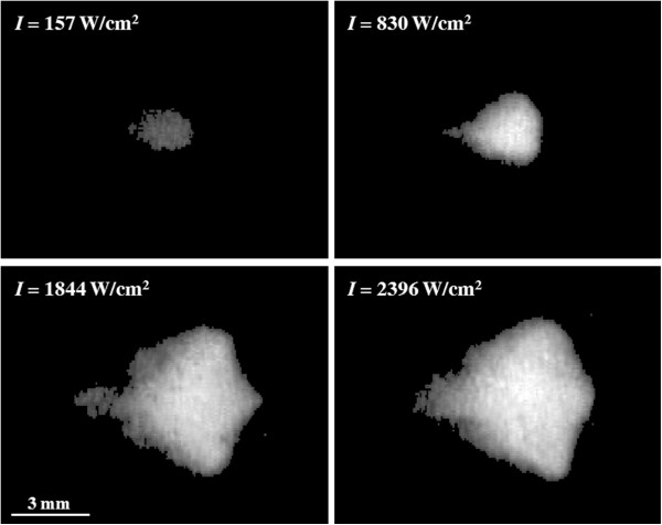 Figure 11