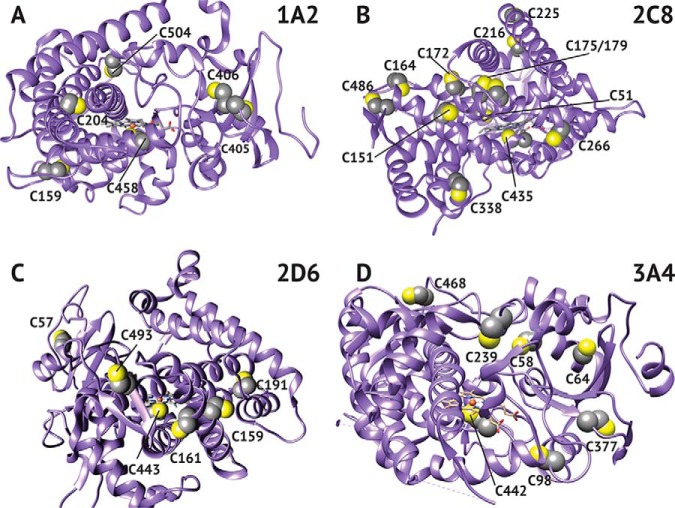 Fig. 6.