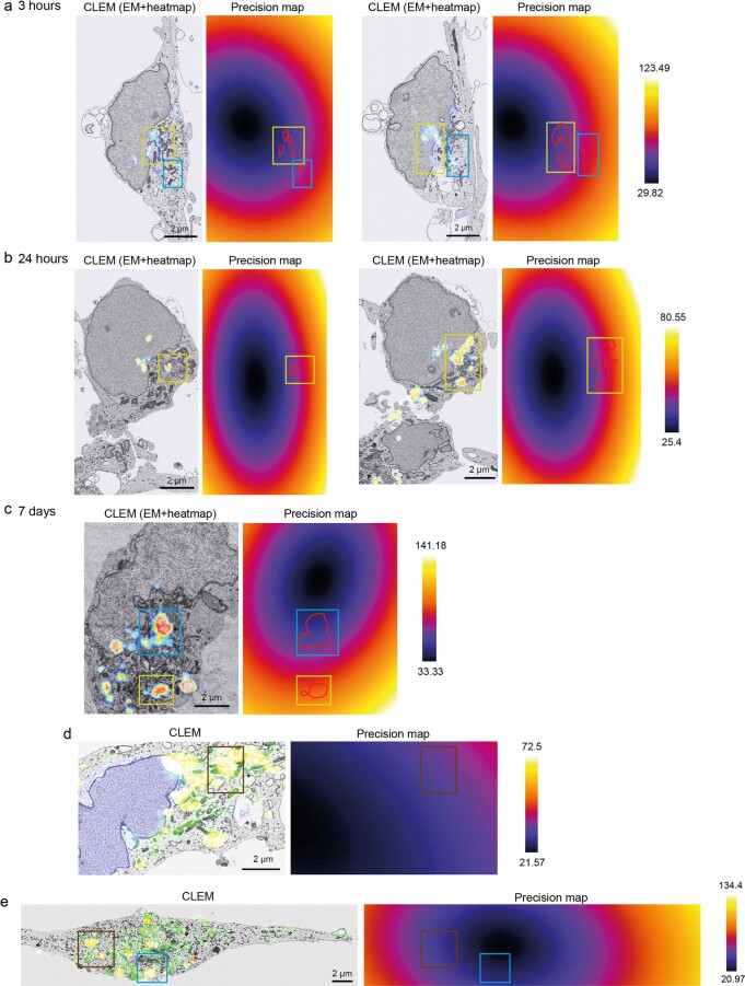 Extended Data Fig. 6