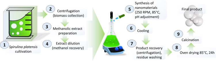 Fig 1