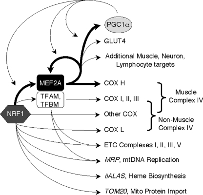 FIGURE 9.