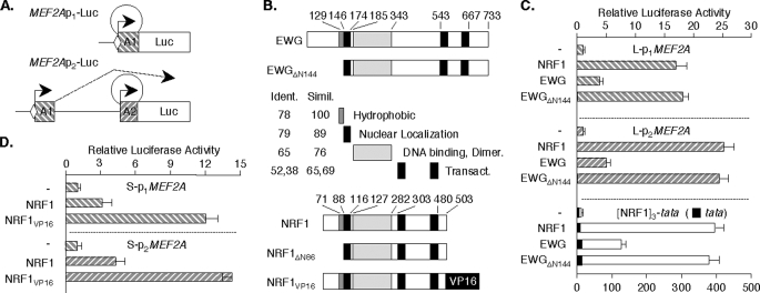 FIGURE 4.