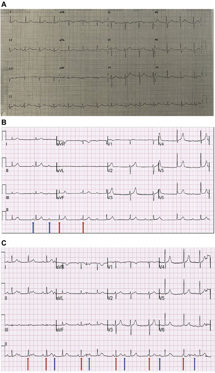 Figure 1