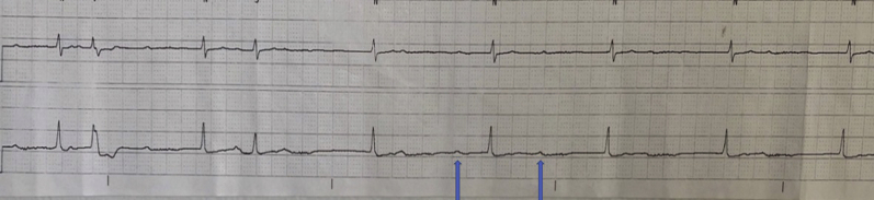 Figure 3