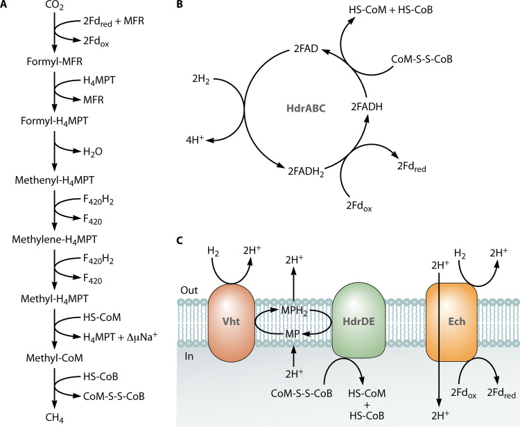 FIG 3